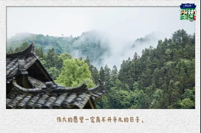 微信图片_20210326144824.jpg
