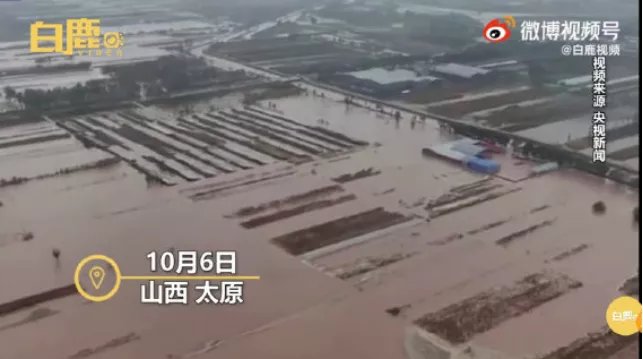图片 37.png
