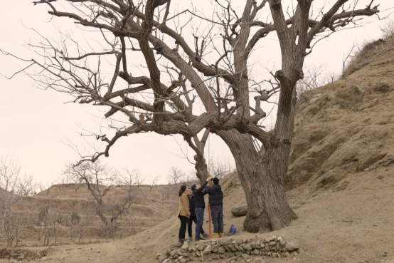 1653537254951976.png 6c224f4a20a44623bd364018cc4911040df3d746.png