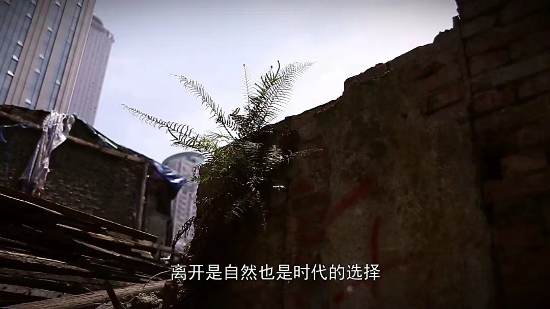 1655342743261070.png 83b582957bf64ed2a6a2b9239b118588.png