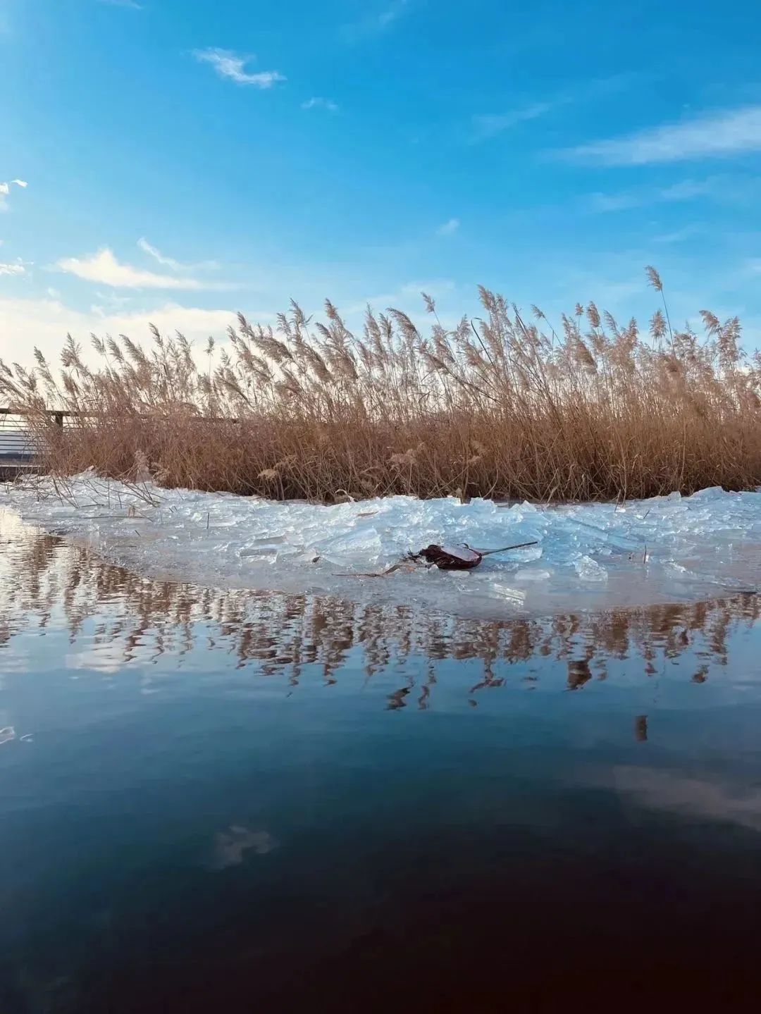 1670901875122217.jpg 2.jpg