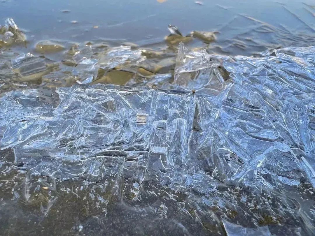 1670903198426326.jpg 5.jpg