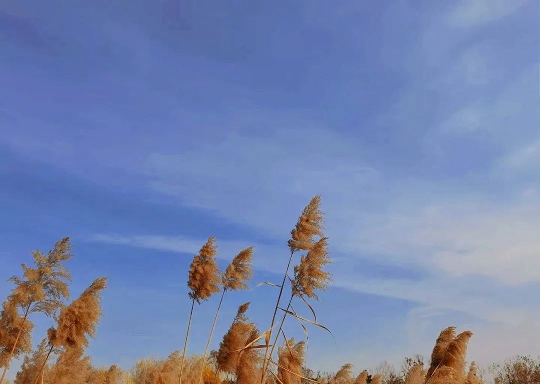 1670903282220539.jpg 6.jpg