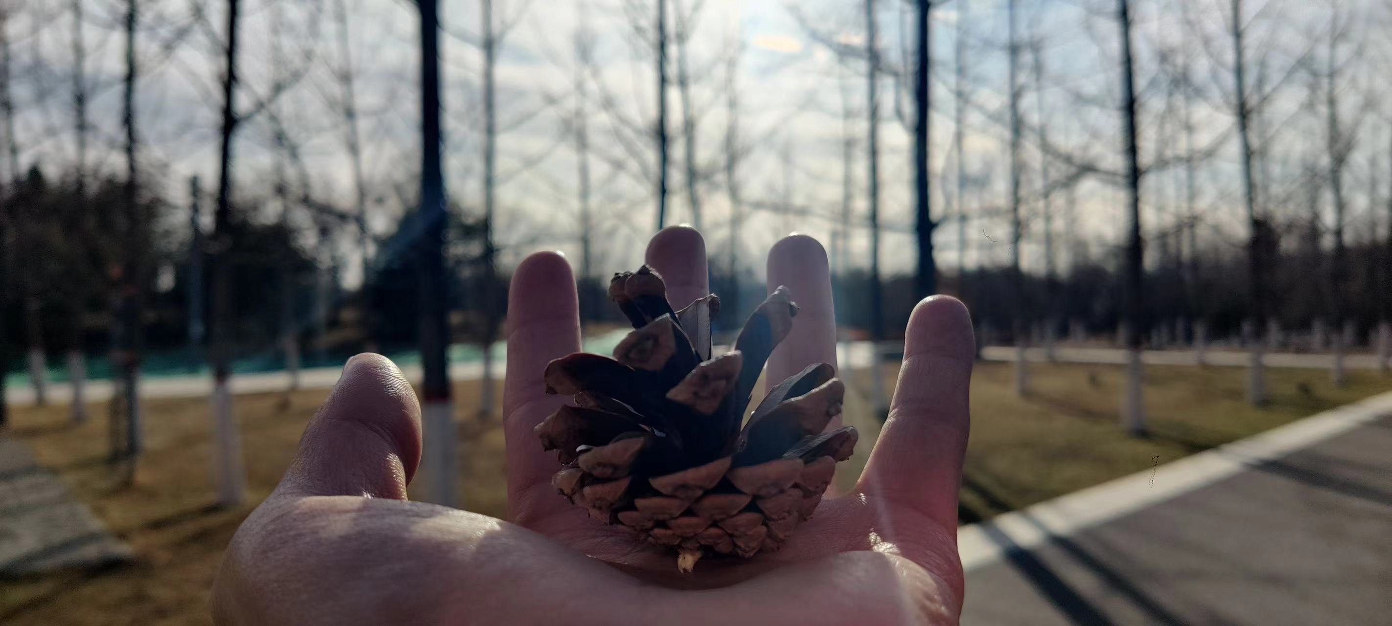 1670904350644473.jpg 14.jpg